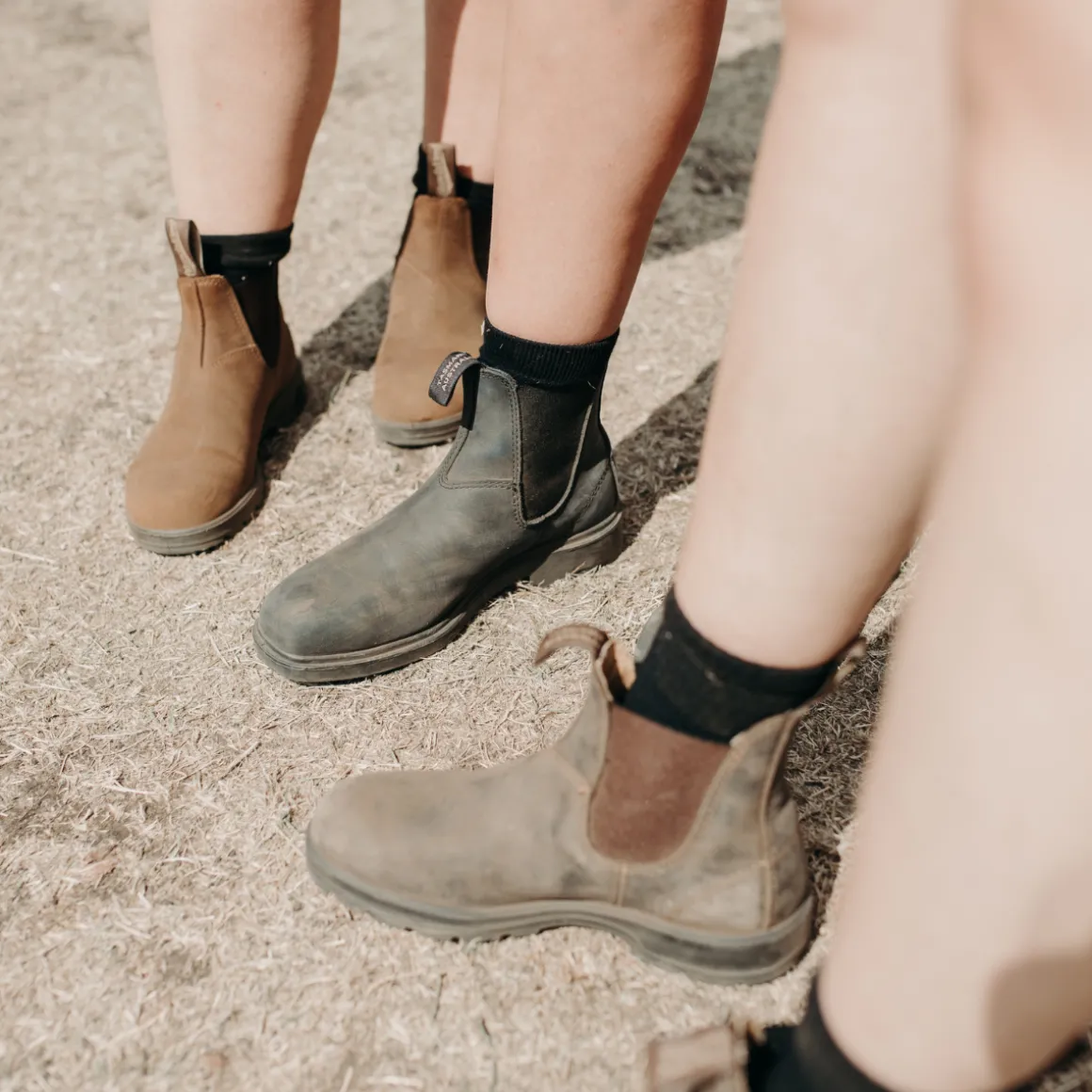 Blundstone 550 Classics Chelsea Boot (Wallnut Brown)