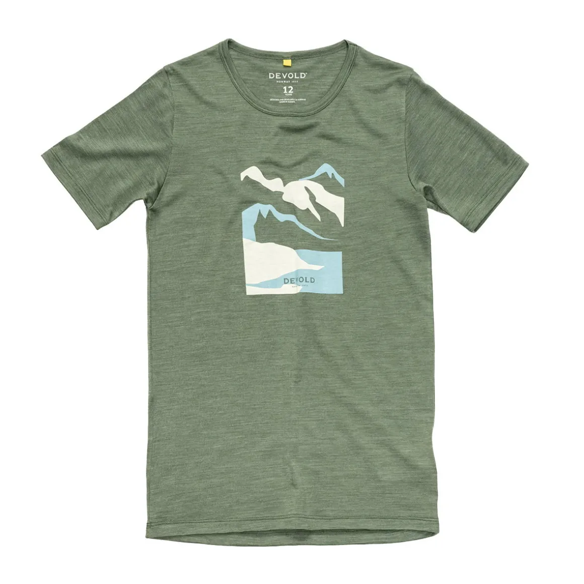 Devold Molnes Merino 150 T-shirt, junior (Forest)