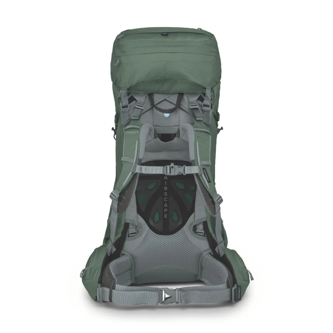 Osprey Ariel 65 L vandrerygsæk, dame (Koseret Green)