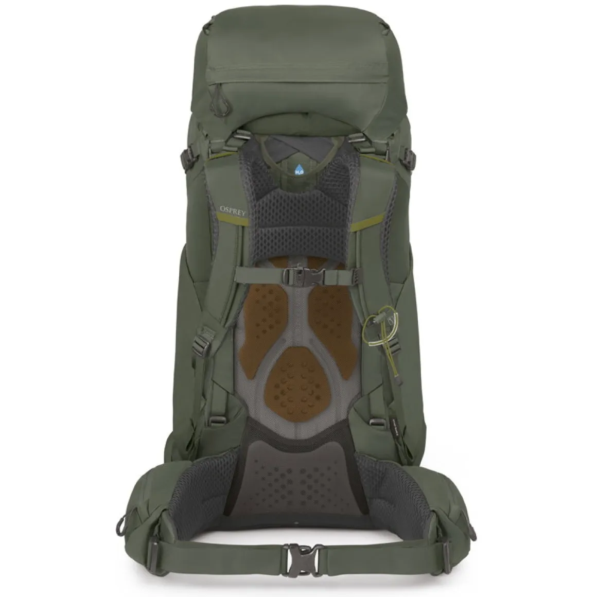 Osprey Kestrel 58 L vandrerygsæk, herre (Bonsai Green)