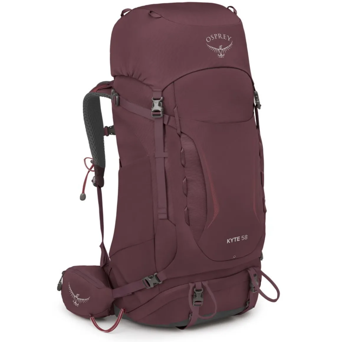 Osprey Kyte 58 L rygsæk, dame (Elderberry / Purple)