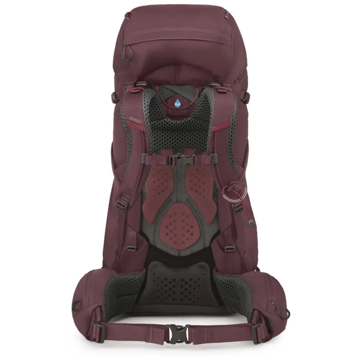 Osprey Kyte 58 L rygsæk, dame (Elderberry / Purple)