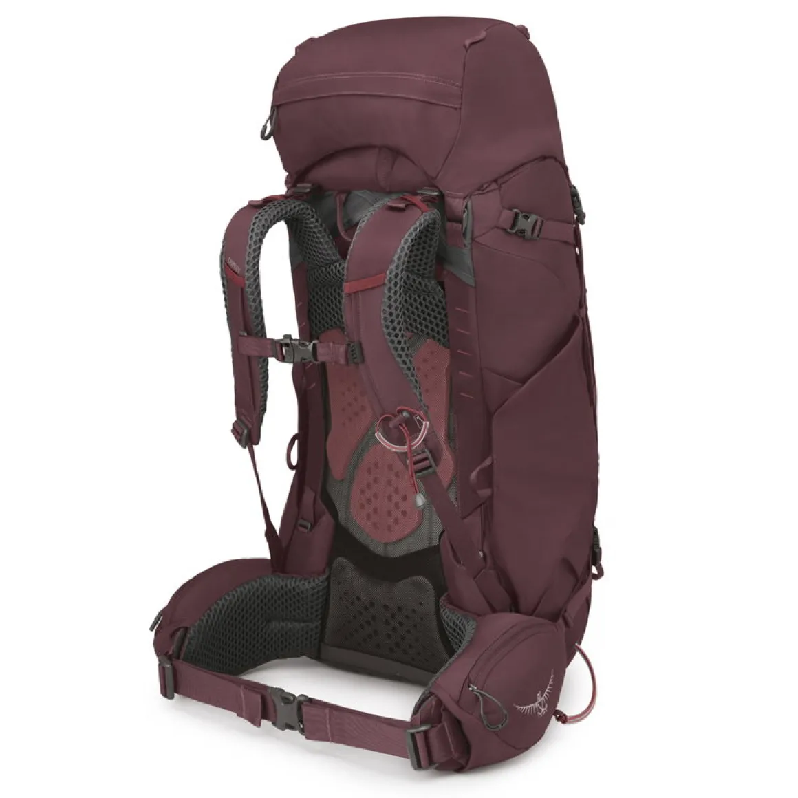 Osprey Kyte 58 L rygsæk, dame (Elderberry / Purple)